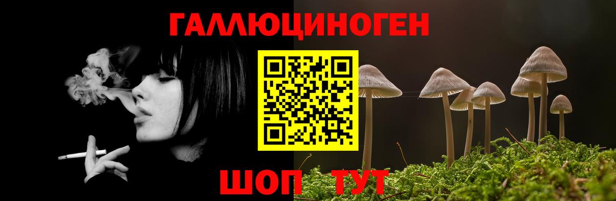 наркота  Псилоцибиновые грибы Psilocybe  Вход с VPN  Губаха  Псилоцибиновые грибы MAGIC MUSHROOMS 