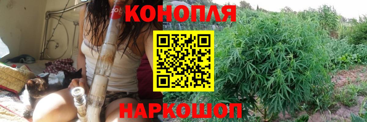 Шишки марихуана AK-47 Губаха
